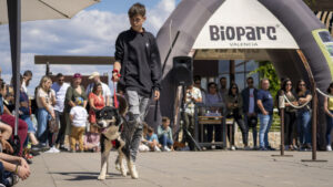 Desfile de perros AUPA-Bioparc